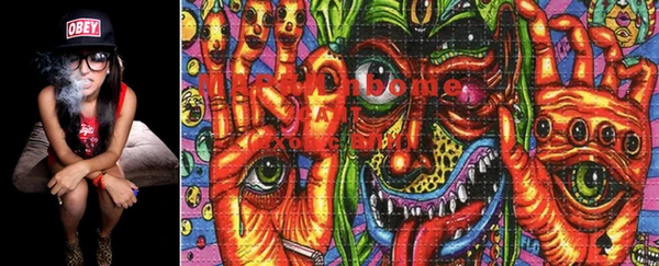 PSILOCYBIN Горно-Алтайск