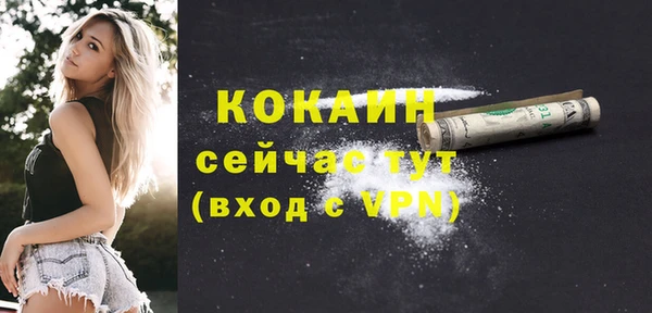 PSILOCYBIN Горно-Алтайск