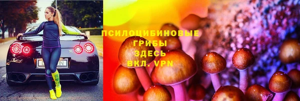 PSILOCYBIN Горно-Алтайск